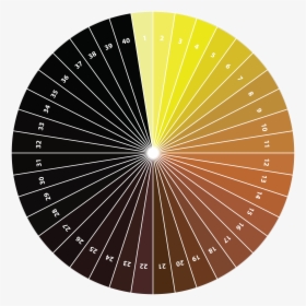 Pale Colour Wheel, HD Png Download, Free Download