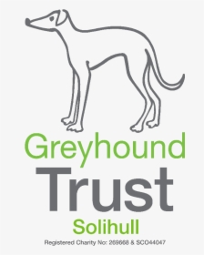 Greyhound Trust Solihull - Retired Greyhound Trust, HD Png Download, Free Download