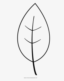 Leaf Coloring Page - Line Art, HD Png Download, Free Download