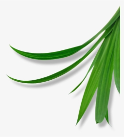 Clip Art, HD Png Download, Free Download