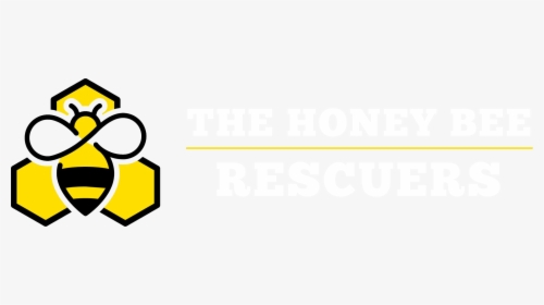 Honey Bee, HD Png Download, Free Download