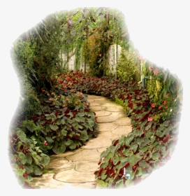Garden Without Flowers, HD Png Download, Free Download