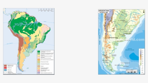 Picture - South American Forest Map, HD Png Download, Free Download