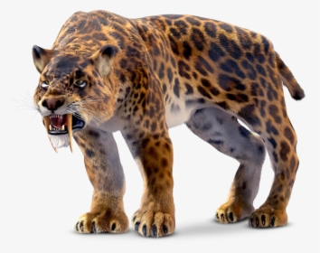 #sabertoothtiger #prehistoric #animal  #bigcat - Saber Tooth Tiger, HD Png Download, Free Download