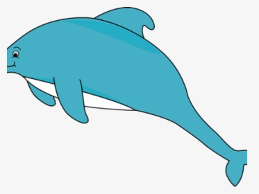 Transparent Dolphin Clipart - Clip Art, HD Png Download, Free Download