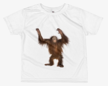 Orang Utan Print All Over Kids Sublimation T Shirt - Ginger Monkey, HD Png Download, Free Download