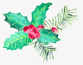 Watercolour, Cgi, Natal, Pen And Wash, Watercolor Painting, - American Holly, HD Png Download, Free Download
