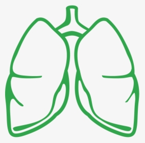 Lungs Clipart Lung Transplant, Lungs Lung Transplant, HD Png Download, Free Download