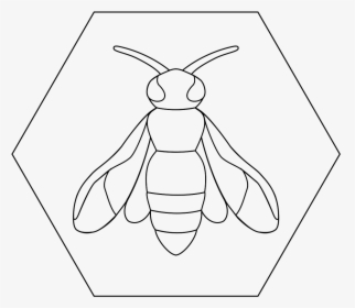 Honeybee, HD Png Download, Free Download