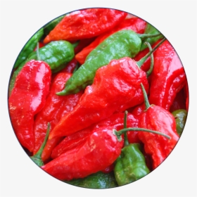 Ghost Pepper, HD Png Download, Free Download