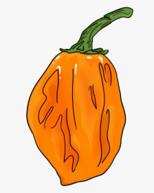 Pin By Mojo Coffee Time On Chili Peppers And Hot Stuff - Jack-o'-lantern, HD Png Download, Free Download