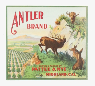 Fruit Label - "antler Brand - Elk, HD Png Download, Free Download