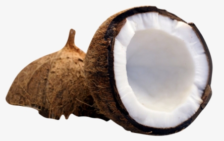 Half Cut Coconut Png Image - Coconut Milk, Transparent Png, Free Download