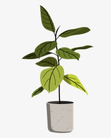 Flowerpot, HD Png Download, Free Download