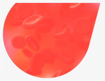 Hero Image Of Blood Cells - Circle, HD Png Download, Free Download