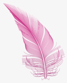 Transparent Pink Feather Png, Png Download, Free Download