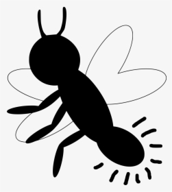Firefly Png Clipart, Transparent Png, Free Download
