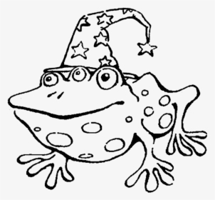 Front Toad Test - Line Art, HD Png Download, Free Download