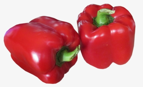 Paprika Rood, HD Png Download, Free Download