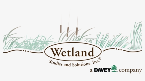Wetland Studies And Solutions, Inc - Grass, HD Png Download, Free Download