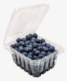 Hinged Blueberry Container - Container Of Blueberries Png, Transparent Png, Free Download