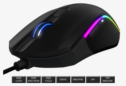 Subscribe , Png Download - Mouse, Transparent Png, Free Download