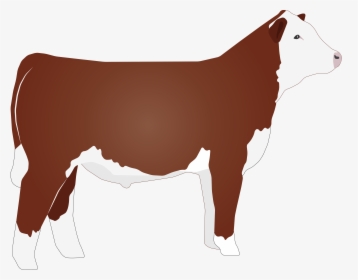 Hereford Cattle Png - Hereford Cattle Clip Art, Transparent Png, Free Download