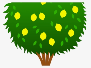 Lemon Tree Clipart Clipart Black And White Lemon Tree - Lemon Tree Drawing Easy, HD Png Download, Free Download