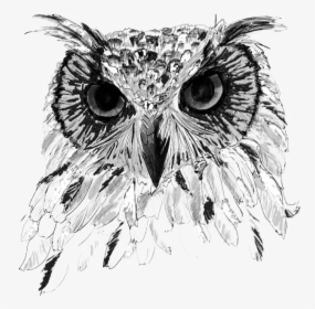 Thumb Image - Great Horned Owl, HD Png Download, Free Download