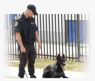 Mason With German Sheperd Guard Dog On Job Site - Police Officer, HD Png Download, Free Download