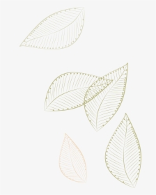 Pattern Leaves -painted Paper White Floating Clipart - Vector Graphics, HD Png Download, Free Download