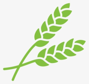 Crop Understand Grain Quality - Agriculture Crop Icon Png, Transparent Png, Free Download