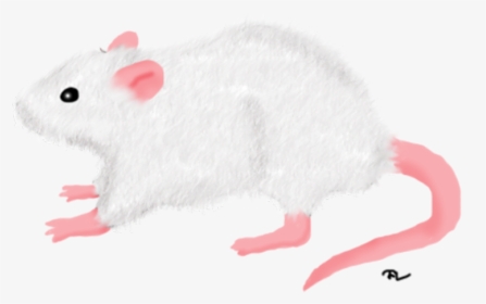 White Rat Png , Png Download - Transparent White Rat Png, Png Download, Free Download
