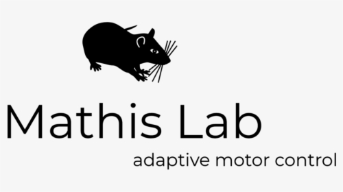 Mathis Lab Logo Black - Rat, HD Png Download, Free Download