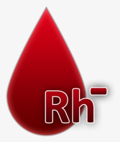 Blood Group, Rh Factor Negative, Blood, A Drop Of Blood - Grupo Sanguineo Ab Positivo, HD Png Download, Free Download