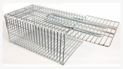 Outdoor Outfitters Live Capture Cage Trap Rat & Small - Cage, HD Png Download, Free Download