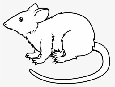 Black And White Animated Rat Png, Transparent Png, Free Download