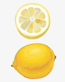 Transparent Lemon Slice Png - Transparent Lemon Drawing Png, Png Download, Free Download