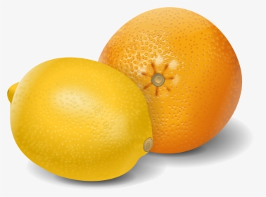Oranges And Lemons Png - Lemon And Orange Clip Art, Transparent Png, Free Download