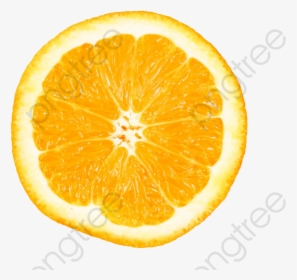 Transparent Lemon Clipart - Fresh Cut Orange Png, Png Download, Free Download
