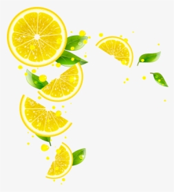 Lime, HD Png Download, Free Download