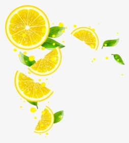 Lime, HD Png Download, Free Download