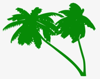Palms, Coconut Tree, Coconut Palms, Tropical, Beach - Green Palm Tree Vector, HD Png Download, Free Download
