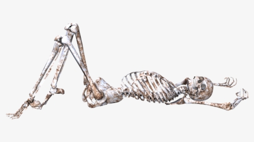 Skeleton Pose Skull Free Picture - Skeleton Lying Down Png, Transparent Png, Free Download