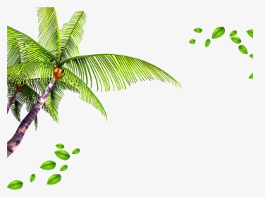 Palm Tree Leaves Background - Leaves Background Png, Transparent Png, Free Download
