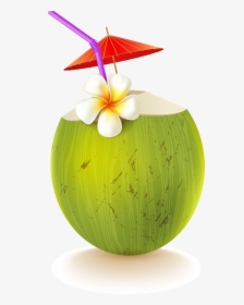 Coconut Water, Coconut, Drink, Apple, Food Png Image - Coconut Drink Png, Transparent Png, Free Download