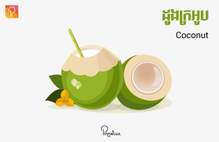 Coconut-vector Coconut Vector - Coconut Vector Free Download, HD Png Download, Free Download