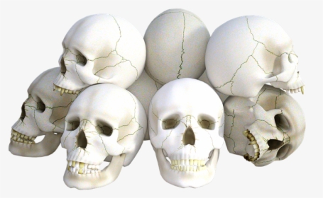 Skulls, Horror, Death, Halloween, Dead, Head, Grave - Skulls Png, Transparent Png, Free Download