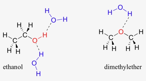 Water And Ethanol Hydrogen Bonding, HD Png Download, Free Download