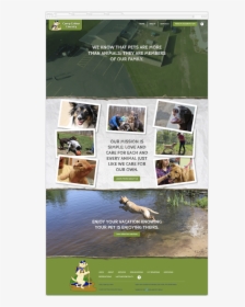 Graphic Design - Alligator, HD Png Download, Free Download